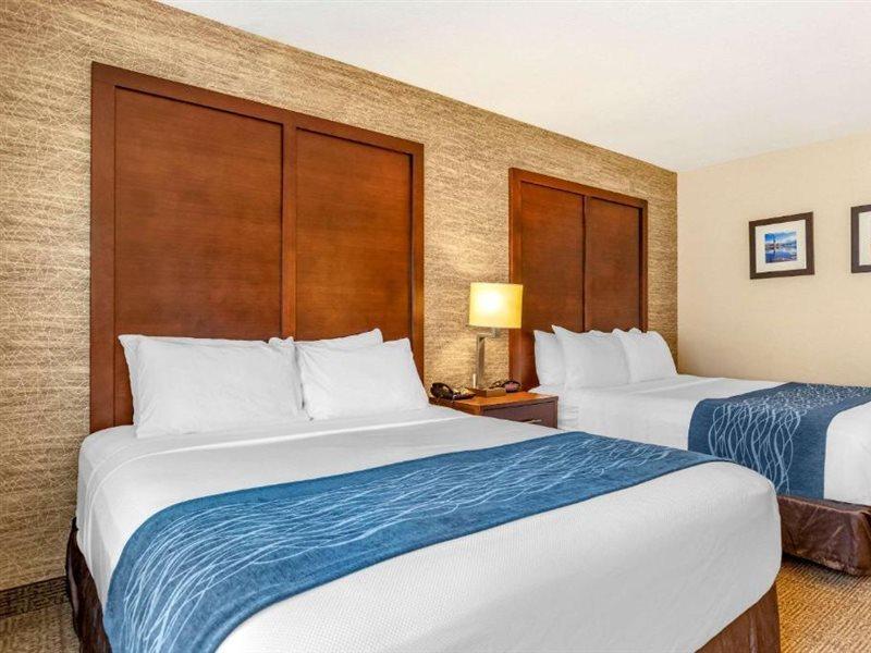 Comfort Inn Ludington Near Us-10 Eksteriør billede